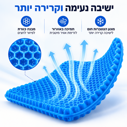 כרית הקסם של Elloria